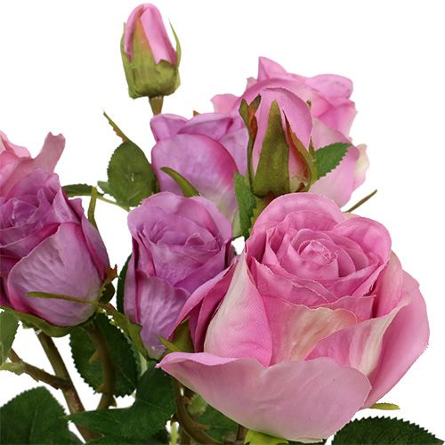 Floristik24 Boeket van oude roze rozen 40cm