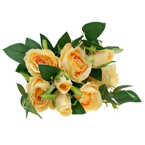 Floristik24 Rozenboeket creme L46cm