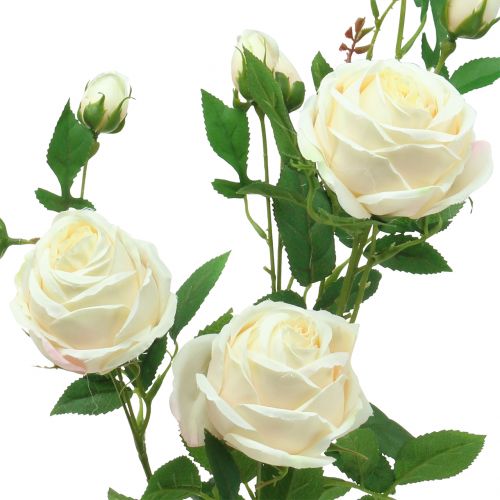 Artikel Rozentak crème / rosè 100cm