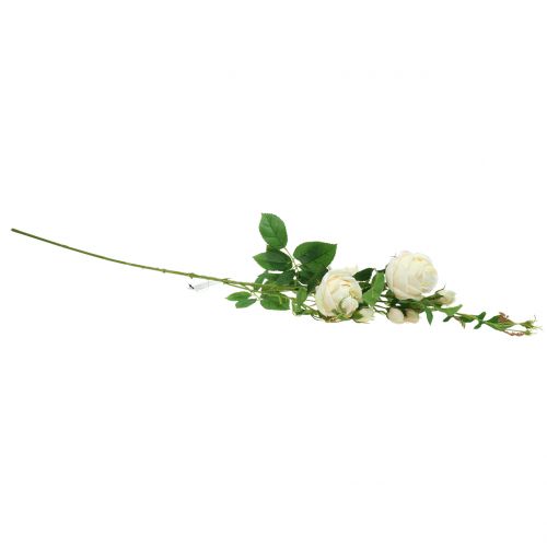 Artikel Rozentak crème / rosè 100cm