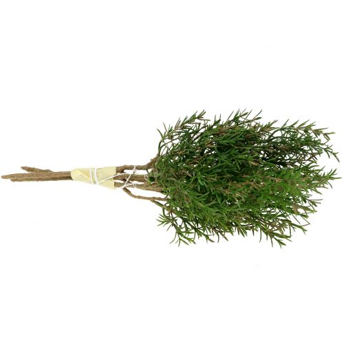 Floristik24 Rozemarijntak 36cm 3st