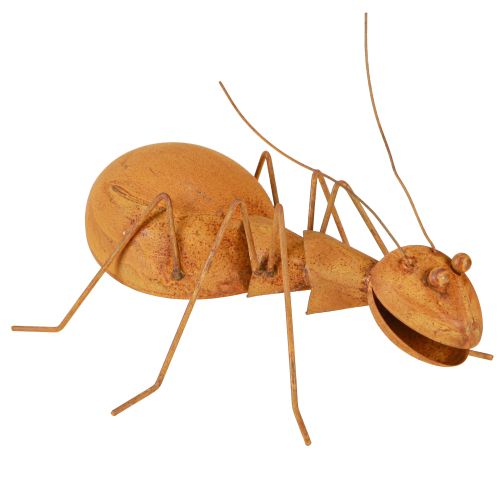 Floristik24 Roest Decoratie Mier Metalen Decoratie Roest Figuur Tuin 21.5cm
