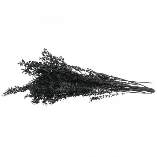 Floristik24 Ruscus takken decoratieve takken gedroogde bloemen zwart 200g