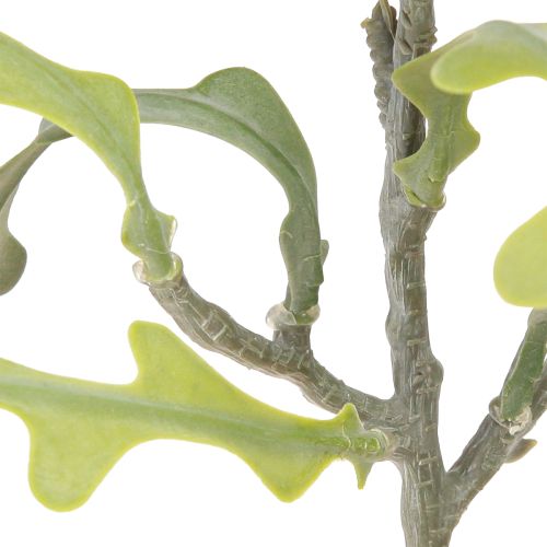 Artikel Kunstzaagblad Cactus Epiphyllum anguliger L68cm 3 st