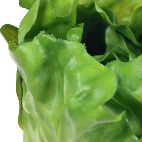 Floristik24 Slakop groene decoratieve saladevoerdummies 14cm