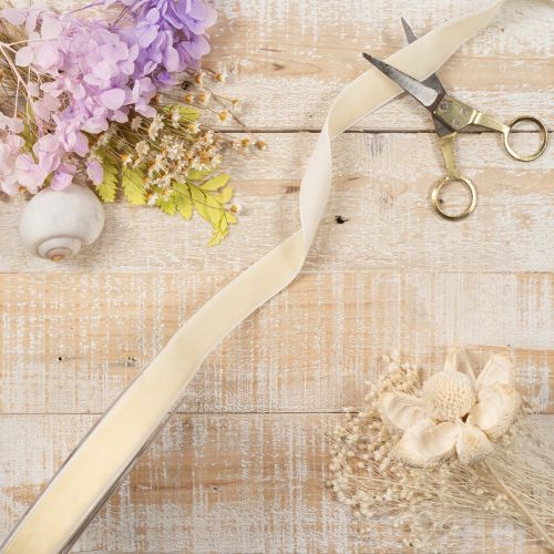 Cadeaulint, elegant fluwelen lint voor cadeaus en bloemen, 20 mm, 10 m | Floristik24.nl