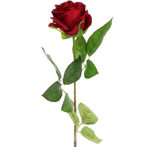 Floristik24 Fluweelroze 65cm 6st