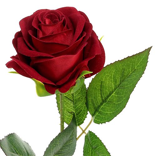 Floristik24 Fluweelroze 65cm 6st