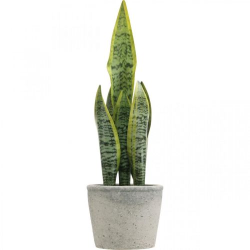 Floristik24 Kunstmatige strikhennep, groene plant in pot, Sansevieria H39cm Ø12cm
