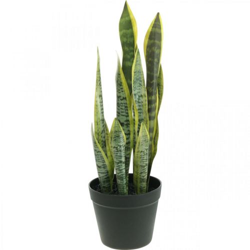 Floristik24 Sansevieria, kunstbloem, strikhennep in pot H50cm Ø14cm