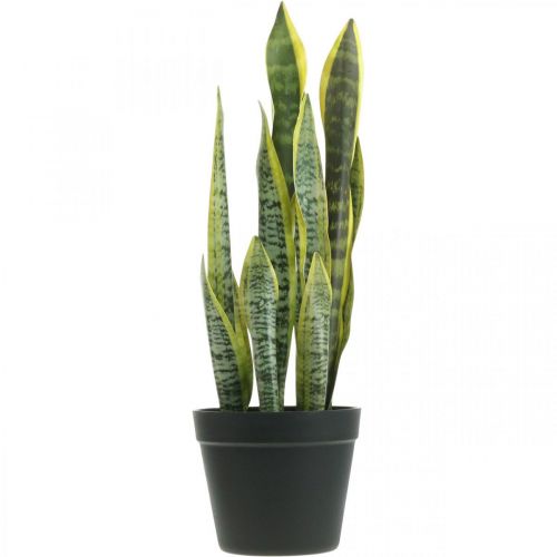 Floristik24 Sansevieria, kunstbloem, strikhennep in pot H50cm Ø14cm
