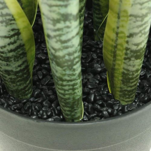 Floristik24 Sansevieria, kunstbloem, strikhennep in pot H50cm Ø14cm