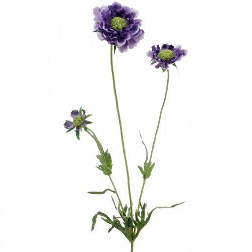 Floristik24 Scabious kunstbloem paars H64cm bos met 3st