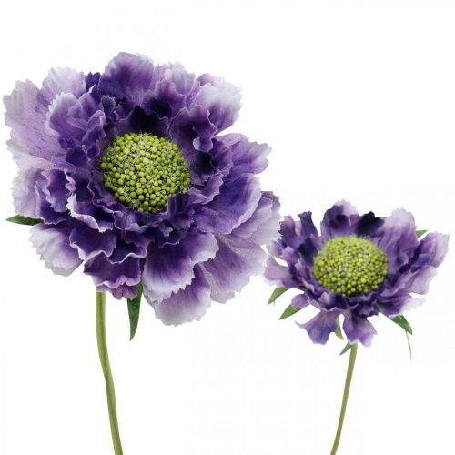 Floristik24 Scabious kunstbloem paars H64cm bos met 3st