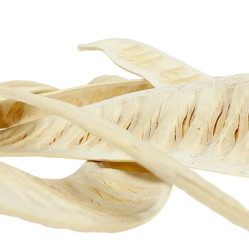 Artikel Scaletta peul gebleekt 25 st