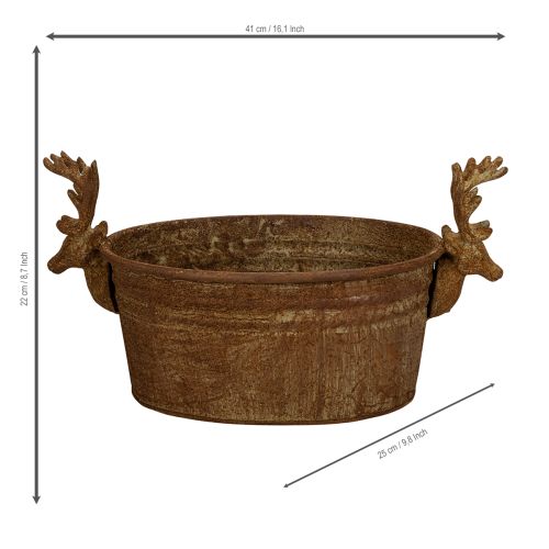 Decoratieve schaal met rendierkop, ovaal, roestbruin, rustiek, 41 cm | Floristik24.nl