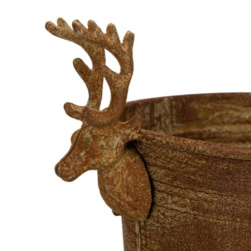 Decoratieve schaal met rendierkop, ovaal, roestbruin, rustiek, 41 cm | Floristik24.nl