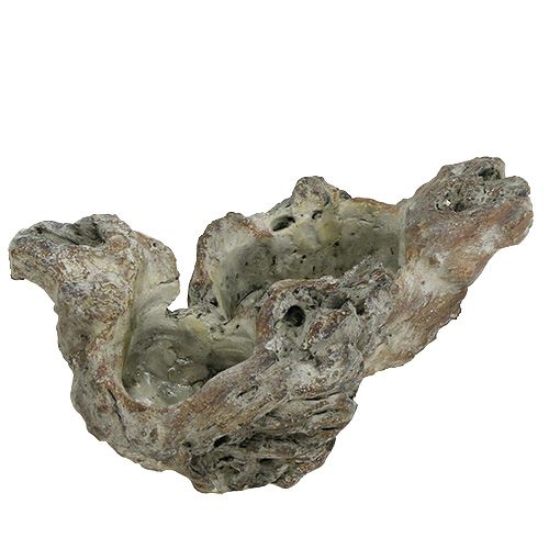 Floristik24 Kom houtwortel 25.5cm x 14cm H11.5cm