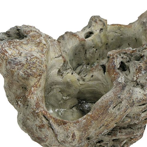 Floristik24 Kom houtwortel 25.5cm x 14cm H11.5cm