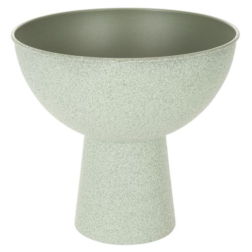 Schaal met standaard voor planten, decoratieve schaal, 25 cm kopen | Floristik24.nl