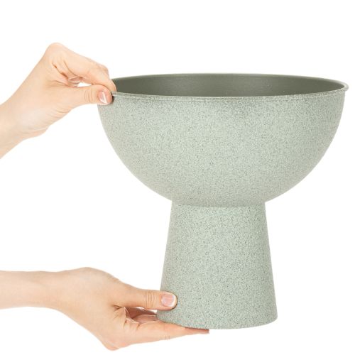 Schaal met standaard voor planten, decoratieve schaal, 25 cm | Floristik24.nl