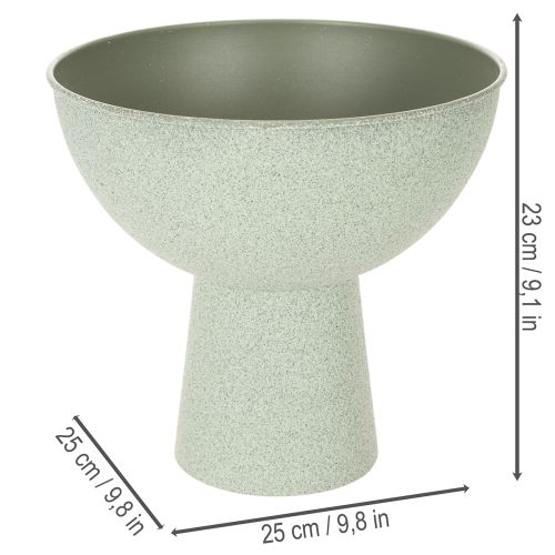 Schaal met standaard voor planten, decoratieve schaal, 25 cm | Floristik24.nl