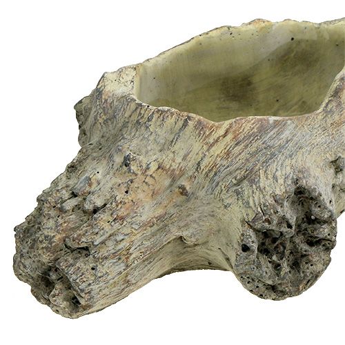 Floristik24 Schaal om te planten 30cm x 13cm H8.5cm