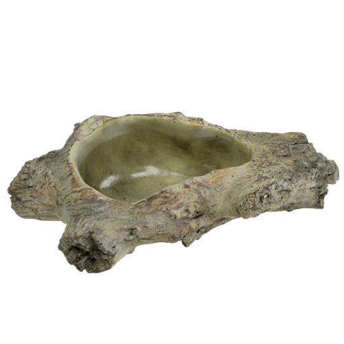 Floristik24 Schaal om te planten 30cm x 13cm H8.5cm