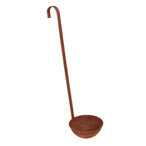 Floristik24 Plantschaal decoratieve pollepel roest Ø12cm 3st