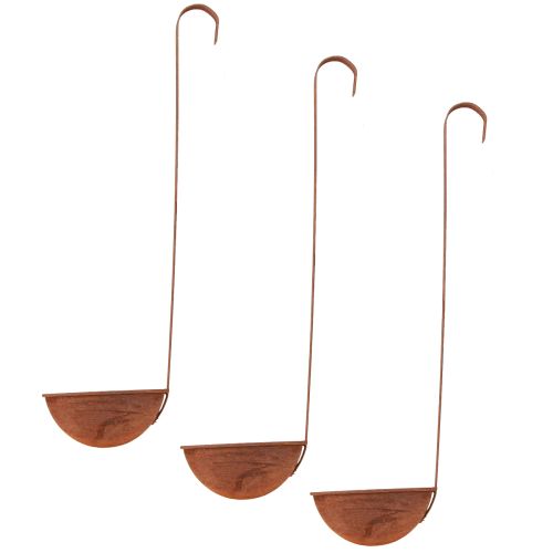 Floristik24 Plantschaal decoratieve pollepel roest Ø12cm 3st