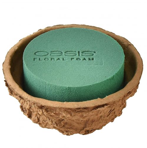 Floristik24 Schaal bloemstuk nat steekschuim H6cm Ø14cm 4 st