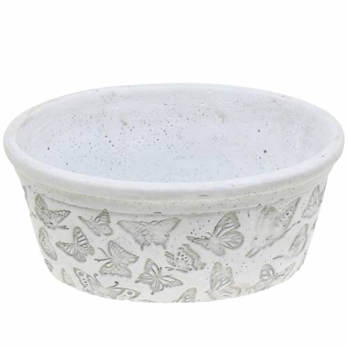 Floristik24 Bloempot schaal wit met vlinders 21cm x 14cm H9.5cm 2st