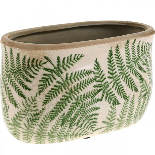 Floristik24 Plantenschaal varen steengoed ovale keramiek pot 20×10×13.5cm 2st