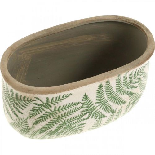 Floristik24 Plantenschaal varen steengoed ovale keramiek pot 20×10×13.5cm 2st