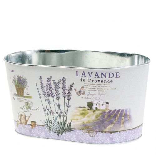 Floristik24 Plantenschaal Lavendel ovaal 22.5cm x 13.5cm H11cm