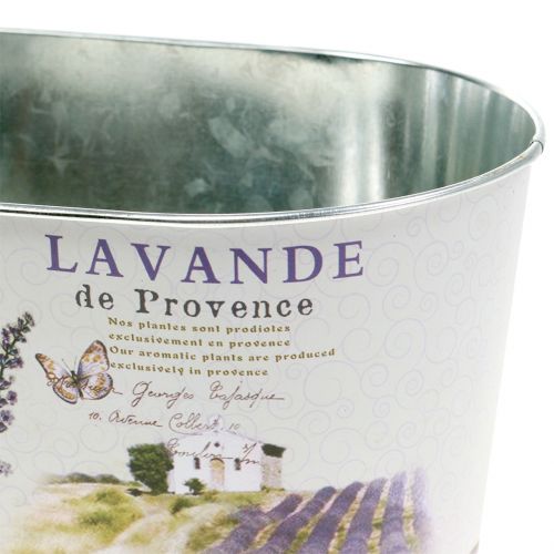 Floristik24 Plantenschaal Lavendel ovaal 22.5cm x 13.5cm H11cm