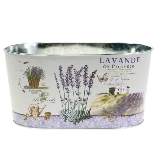 Floristik24 Plantenschaal Lavendel ovaal 22.5cm x 13.5cm H11cm