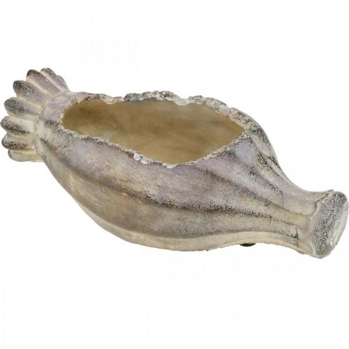 Floristik24 Papavercapsule voor opplant, betondecoratie, plantenpot, tuindecoratie L29.5cm