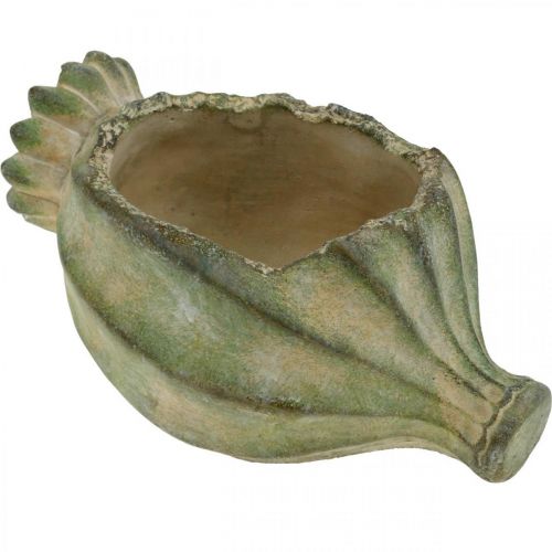 Floristik24 Decoratieve papavercapsule, betonnen plantenbak, cachepot, grafdecoratie L26cm
