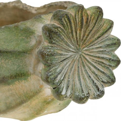 Floristik24 Decoratieve papavercapsule, betonnen plantenbak, cachepot, grafdecoratie L26cm