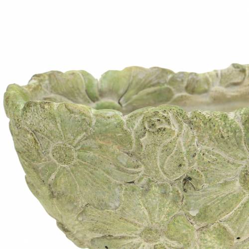 Floristik24 Plantenschaal ovaal groen 22×11.5cm H10cm