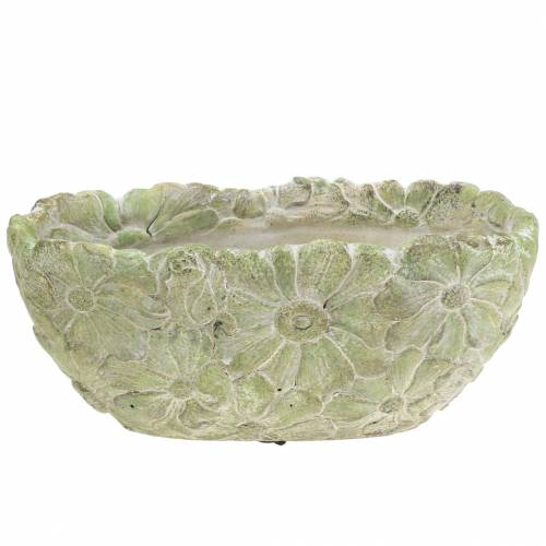 Floristik24 Plantenschaal ovaal groen 22×11.5cm H10cm