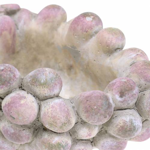 Floristik24 Sierschaal druiven grijs paars creme 19×14cm H9.5cm