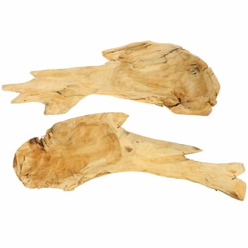 Floristik24 Wortelhouten schaal 50cm x 17cm H8cm