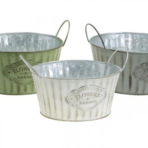 Floristik24 Metalen plantenschaal, lentebloempot, plantenbak met handvatten groen, wit, grijs Ø21cm H15.5cm set van 3