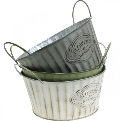 Floristik24 Metalen plantenschaal, lentebloempot, plantenbak met handvatten groen, wit, grijs Ø21cm H15.5cm set van 3