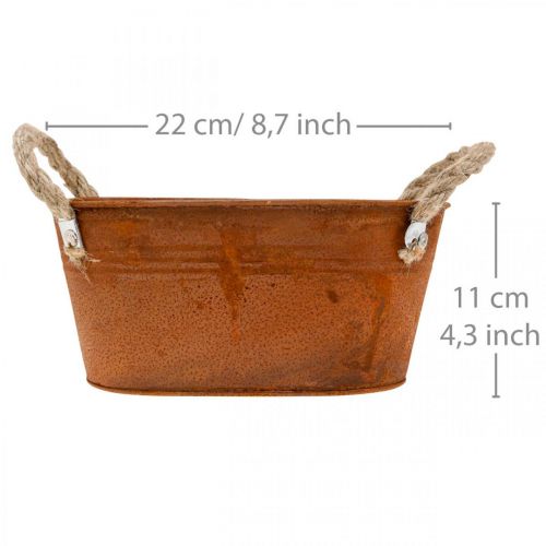 Floristik24 Metalen kom met handvatten, herfstdecoratie, plantenbak met patina L22cm H11cm