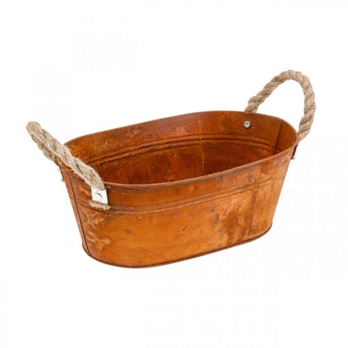 Floristik24 Plantenpot met handvatten, kruidenschaal, herfstdecoratie, patina L28cm H11cm