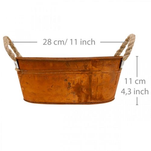 Floristik24 Plantenpot met handvatten, kruidenschaal, herfstdecoratie, patina L28cm H11cm