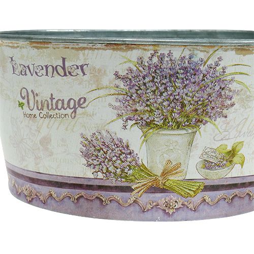 Floristik24 Plantschaal 3-delig rond lavendel Ø17-23cm